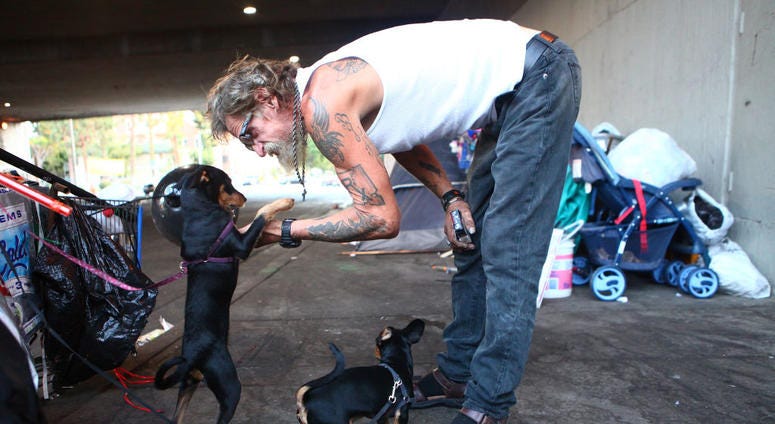 Antonio DeSilva, who is currently homeless, plays with his dogs outside his tent on September 09, 2019 in Los Angeles, California.