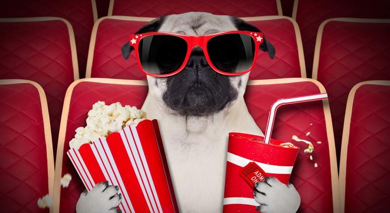 A dog watching a movie with popcorn