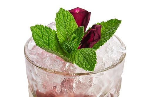 Mint Julep Mint Julep