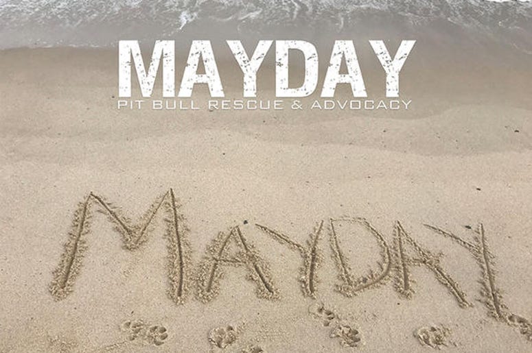 Mayday Pitbull Rescue Mayday Pitbull Rescue