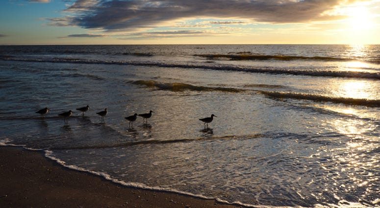 Gulf Of Mexico Gulf Of Mexico