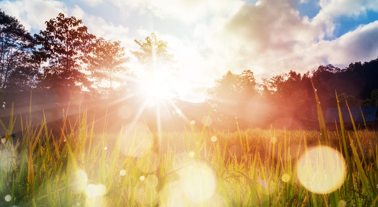 Sunrise, Sunrise,