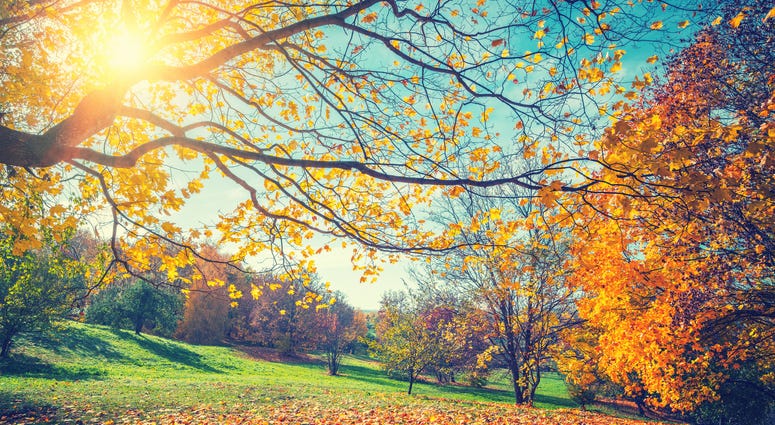 Sunny autumn Sunny autumn