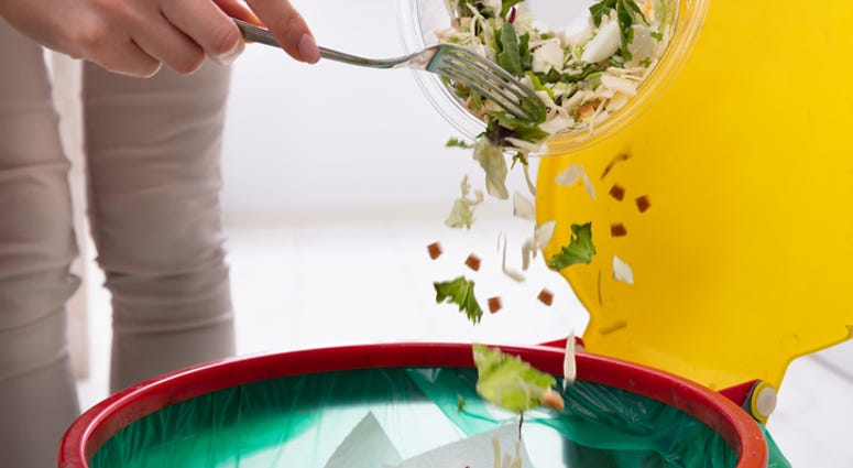 Food Waste
