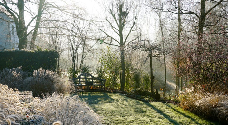Winter at the pond in natural beautiful garden Winter at the pond in natural beautiful garden