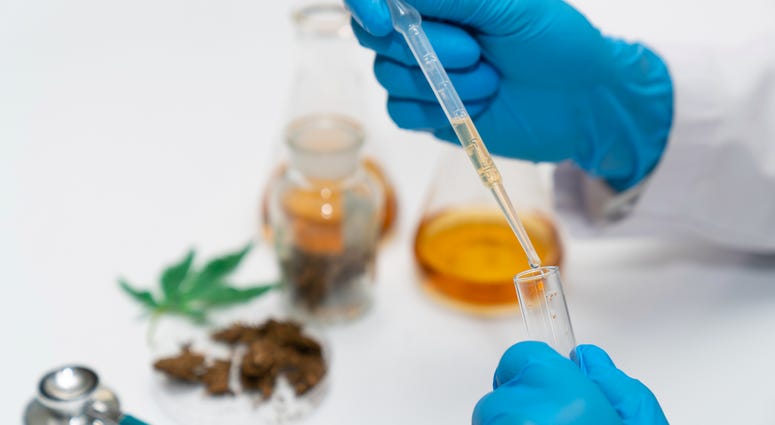 Lab Testing Hemp, Cannabis Lab Testing Hemp, Cannabis