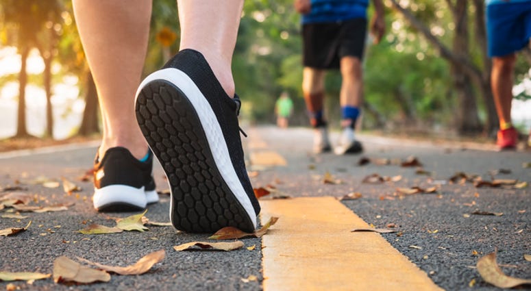 Walking Trail, Park Walking Trail, Park