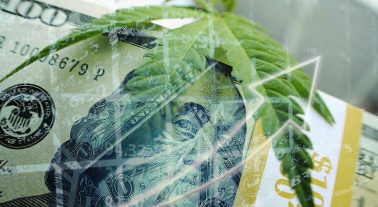 Marijuana Profits Soaring High Marijuana Profits Soaring High