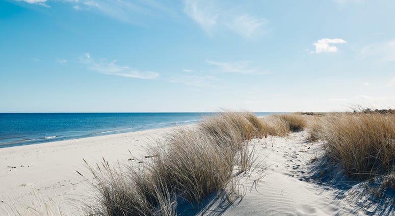 Beach Beach