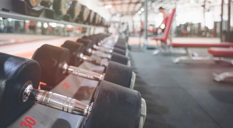 Workout, Gym Workout, Gym