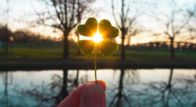 4 Leaf Clover 4 Leaf Clover