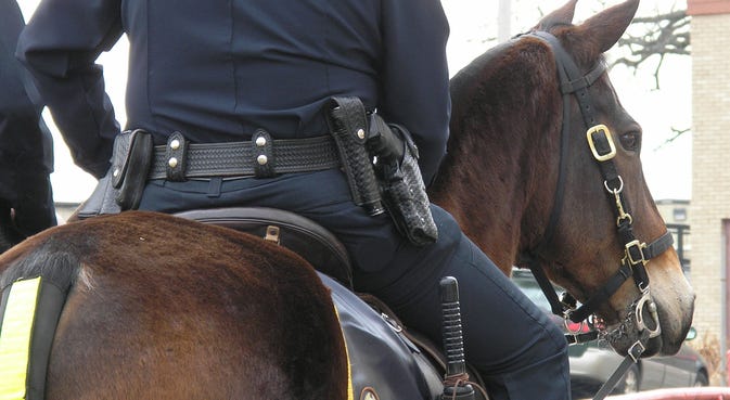 Police Horse Police Horse