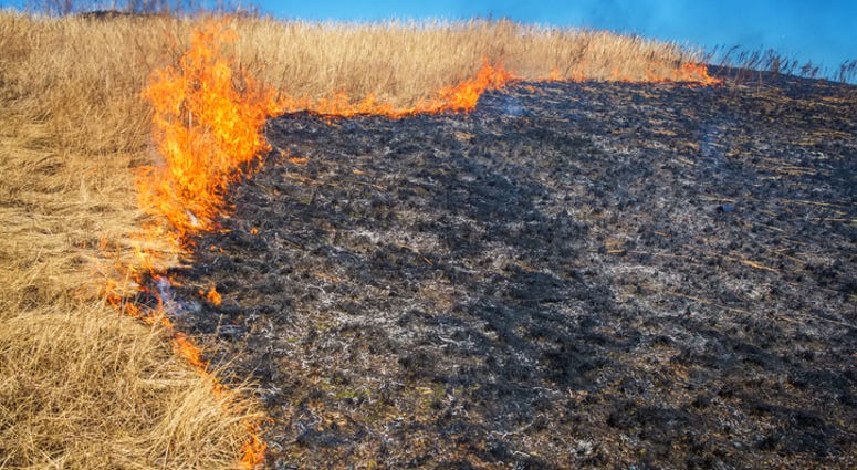 Grass Fire Grass Fire