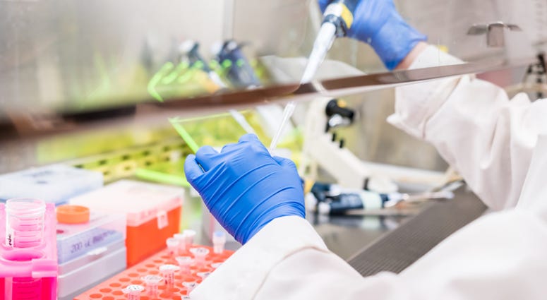 Hospital Laboratory Hospital Laboratory