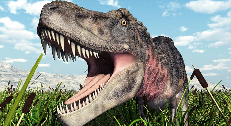 Dinosaur Tarbosaurus Dinosaur Tarbosaurus