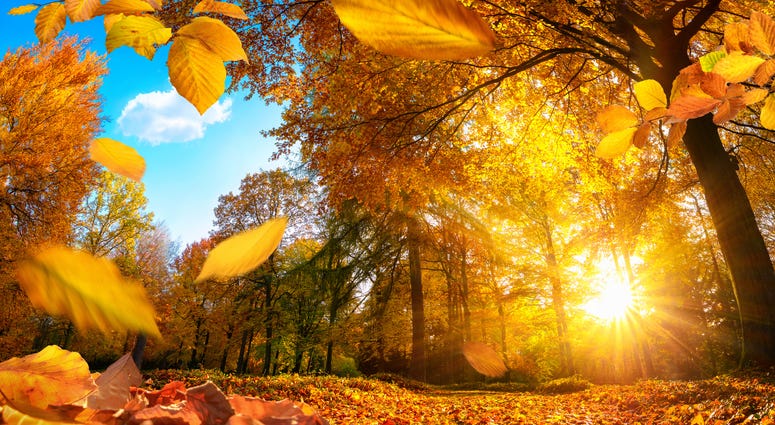 Fall Weather, Sunshine Fall Weather, Sunshine
