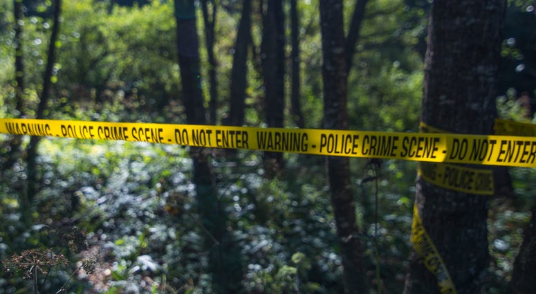 Crime Scene Crime Scene
