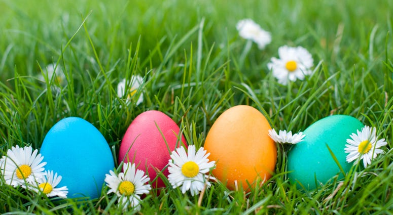 Easter Eggs Easter Eggs