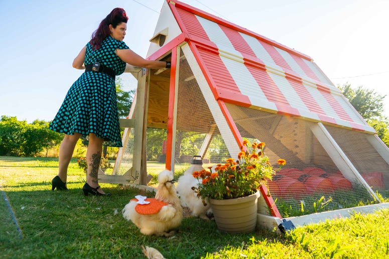 Chicken Coop Chicken Coop