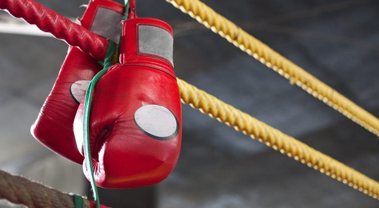 Boxing Gloves Boxing Gloves