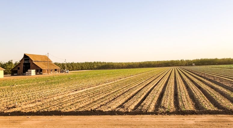 Farm Farm