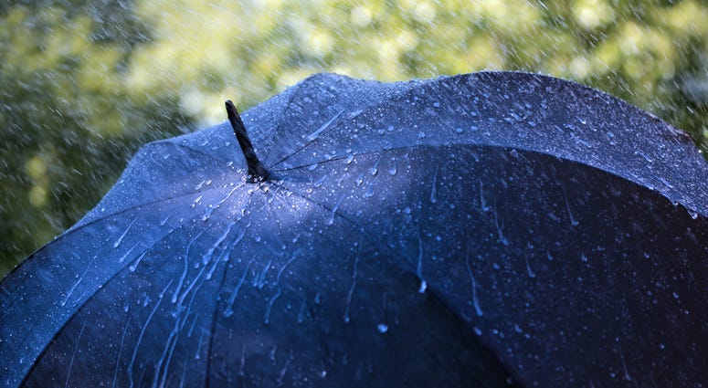 Rain Rain