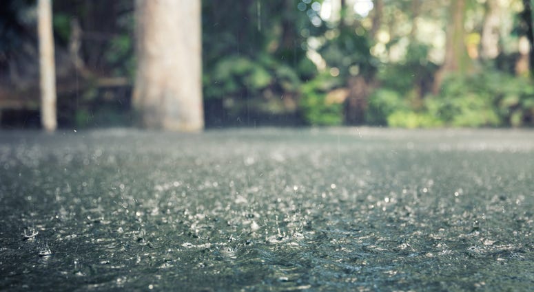 Heavy Rain Heavy Rain