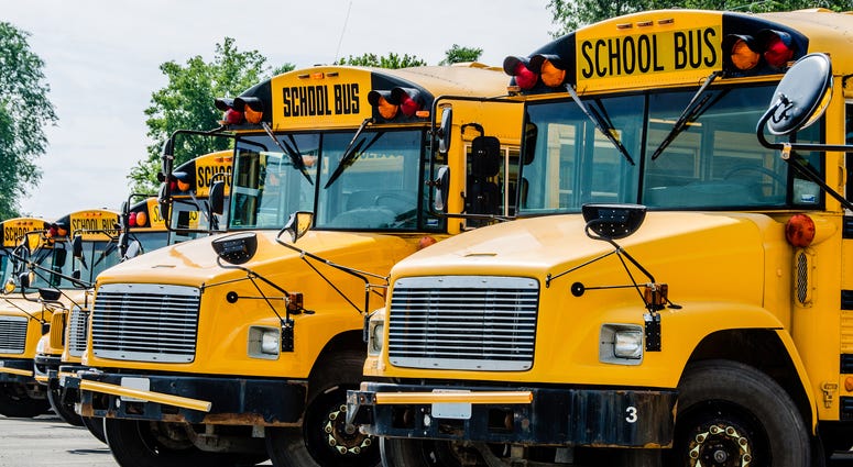 School Bus School Bus