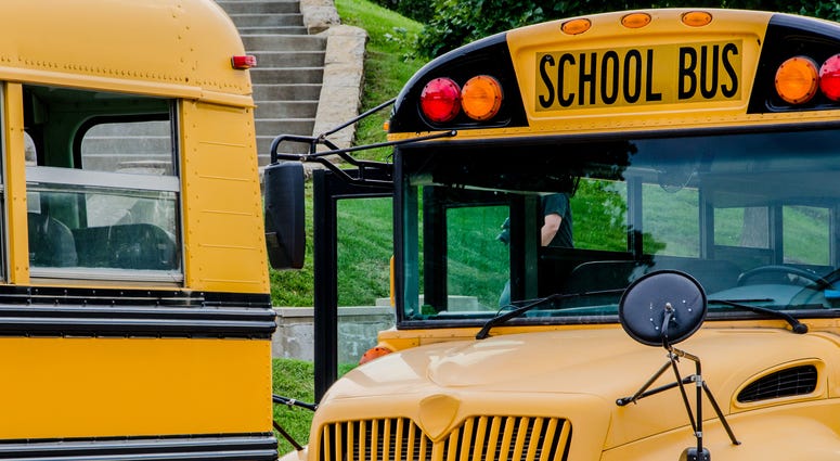 School Bus School Bus