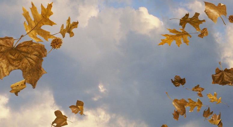 Windy sky with leaves blowing Windy sky with leaves blowing