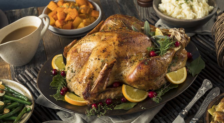 Thanksgiving Turkey Thanksgiving Turkey