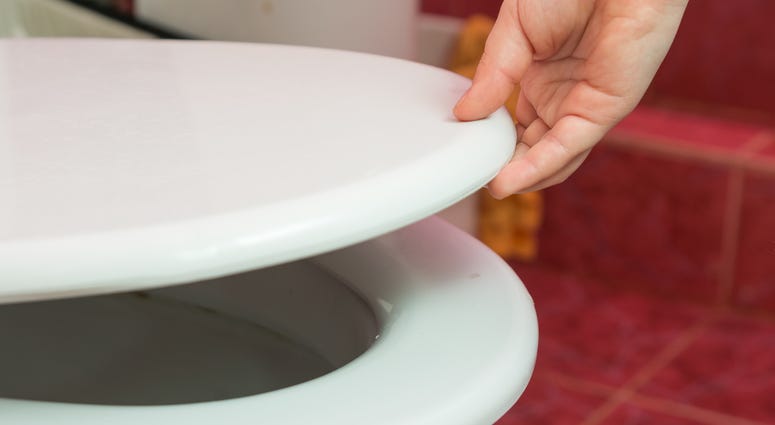 Toilet Seat Toilet Seat