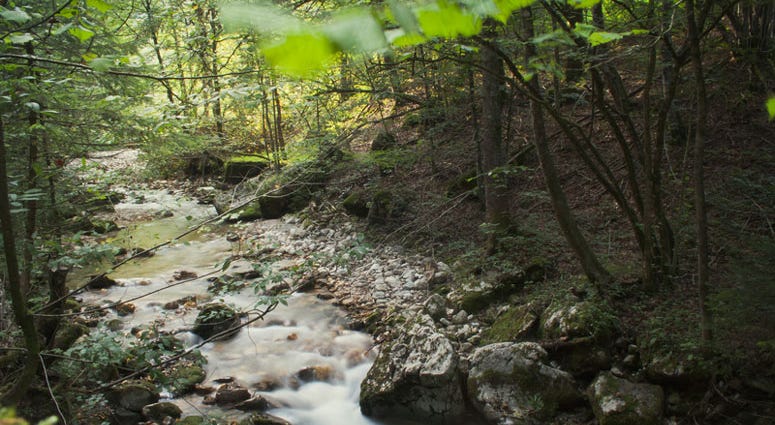 Creek Creek