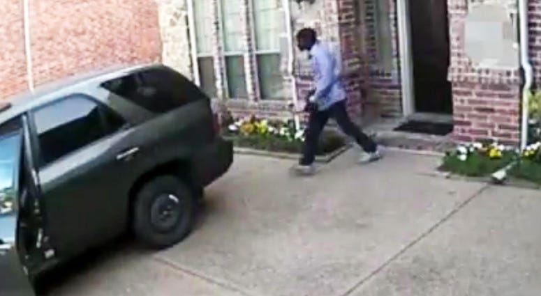 DPD Package Thief DPD Package Thief
