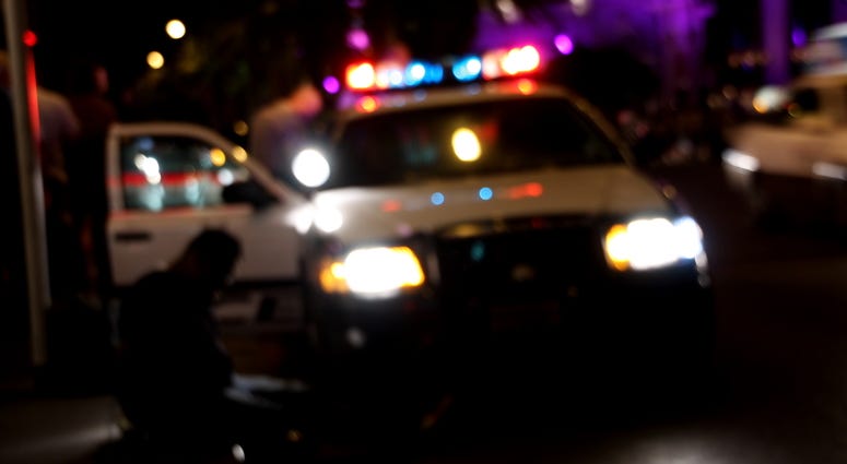Police Car Police Car