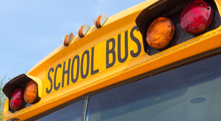 School Bus School Bus