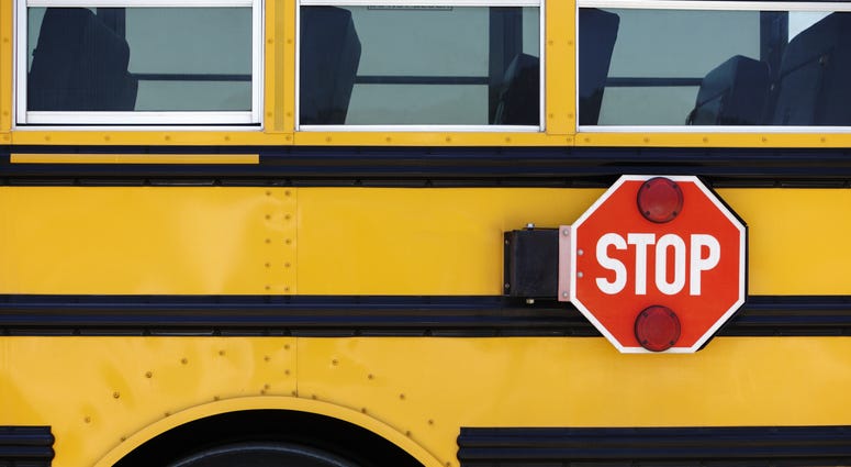 School Bus School Bus