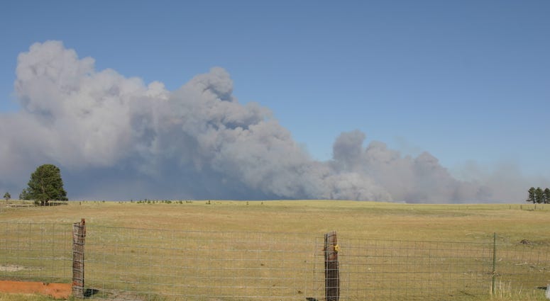Wildfire Wildfire