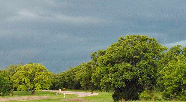 Weather, Sky Weather, Sky