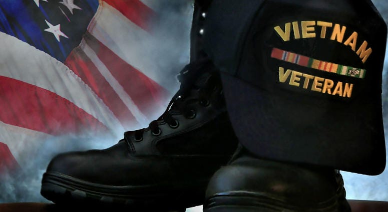 Vietnam Veteran Vietnam Veteran
