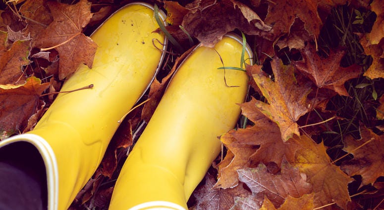 autumn still life with yellow rubber boots autumn still life with yellow rubber boots