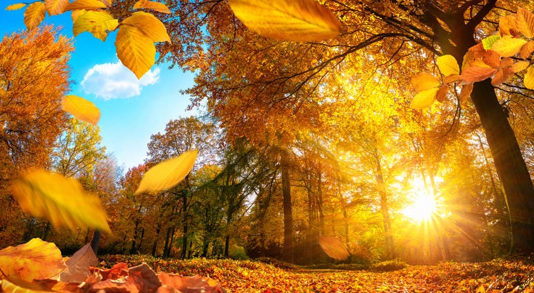 Fall Weather, Sunshine Fall Weather, Sunshine