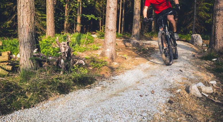 Mountain biker, riding Mountain biker, riding