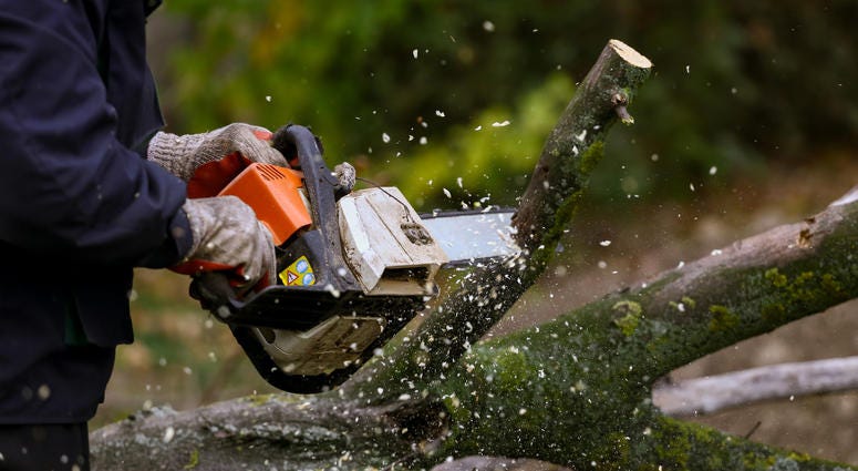 Chainsaw Chainsaw