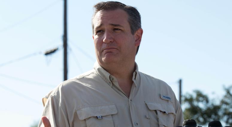 Senator Ted Cruz Senator Ted Cruz