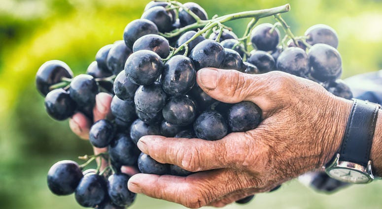 Grapes Grapes