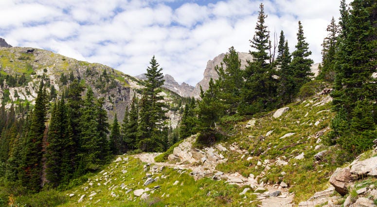 Hiking Trail Hiking Trail