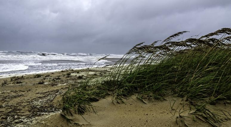 Gulf Storm Gulf Storm