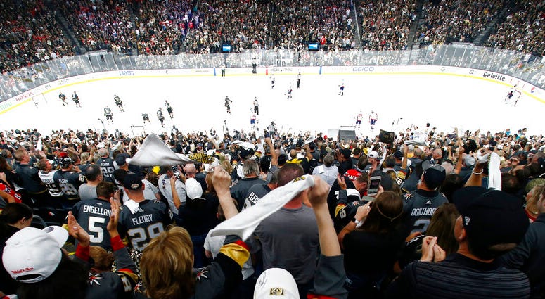 NHL, Hockey Arena NHL, Hockey Arena