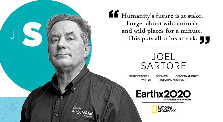 Earth X
